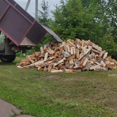 Drova Gatchina11